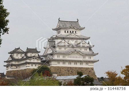 秋の姫路城 31448756