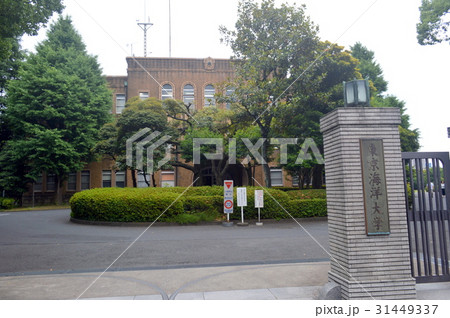 東京海洋大学 31449337