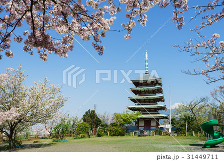 香貫山香陵台慰霊塔と桜 31449711