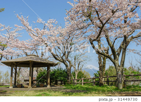 本城山公園 31449730