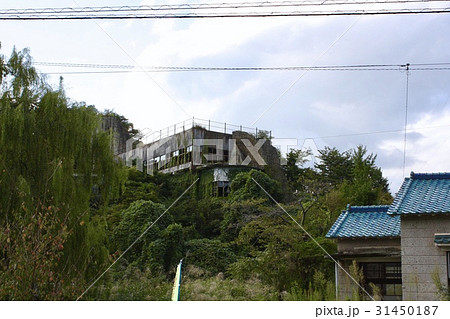 山本園大谷グランドセンター 山本園大谷グランドセンター 31450187
