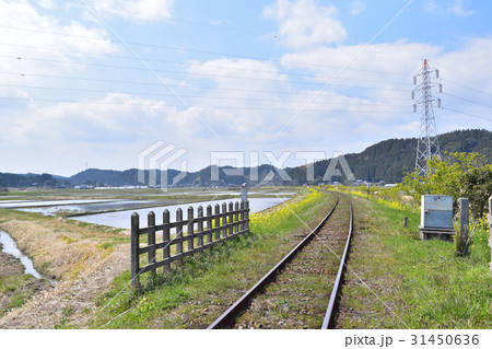 菜の花咲くいすみ鉄道の線路の春風景 31450636