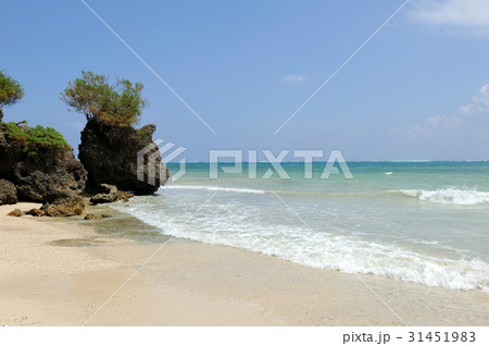 Beach and tropical ocean Beach and tropical ocean 31451983