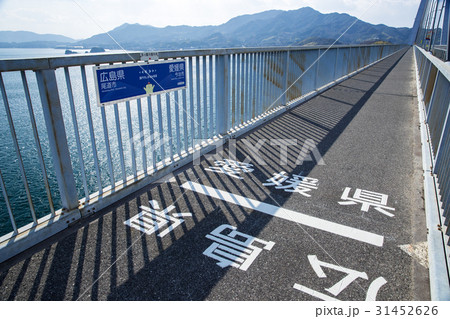 多々羅大橋(しまなみ海道) 県境 多々羅大橋(しまなみ海道) 県境 31452626
