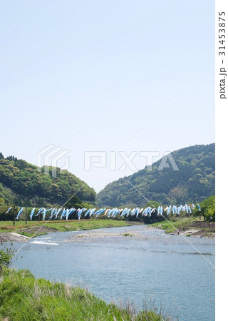 黒潮町近く四万十川 鯉のぼりの川渡し場所 黒潮町近く四万十川 鯉のぼりの川渡し場所 31453875