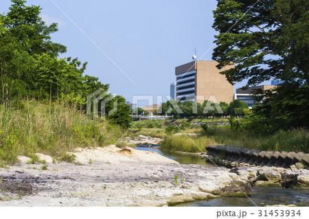 浅川から見る八王子市役所 浅川から見る八王子市役所 31453934