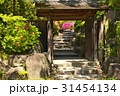 木戸 31454134