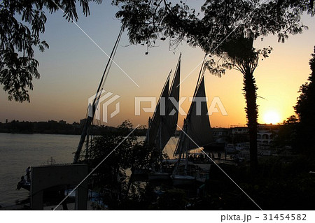 夕暮れ時のナイル川 31454582