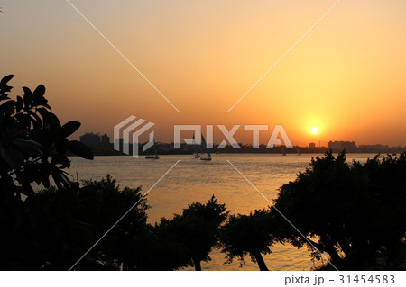 ナイル川の夕日 31454583