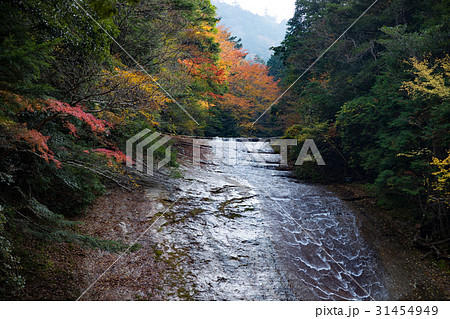 紅葉と滑床渓谷　雪輪の滝（愛媛県松野町） 31454949