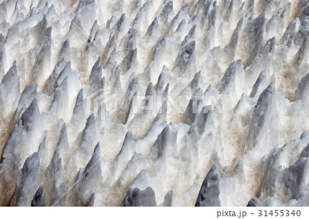 Ice or snow penitentes, San Francisco Mountain 31455340