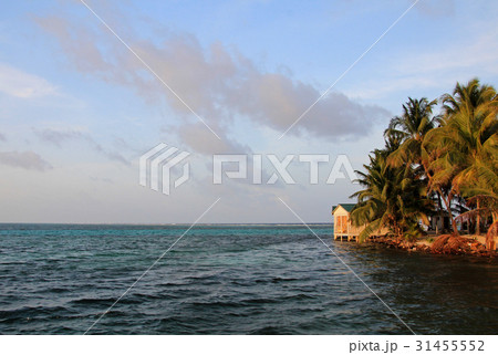 Small island of Tobacco Caye, Belize 31455552