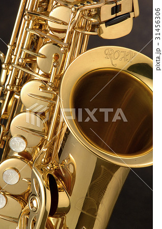 アルトサックス02 31456306