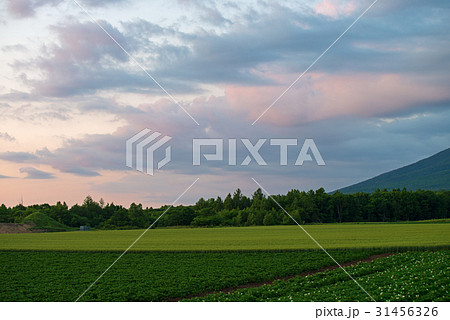 田園風景 田園風景 31456326