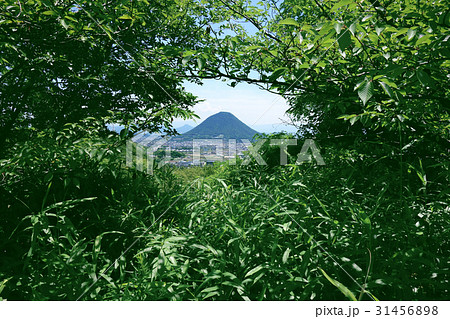 常盤公園から見た讃岐富士飯野山 31456898