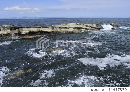 夏の三浦半島剱崎 先端部の平島 31457379