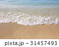 海辺のさざなみ 31457493