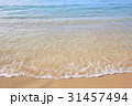 海辺のさざなみ 31457494