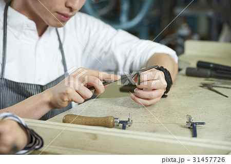 コーダルハーモニー コーダルハーモニー 31457726