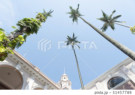 The University of Hong Kong 31457789