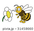 ミツバチが花の匂いを嗅ぐ 31458660