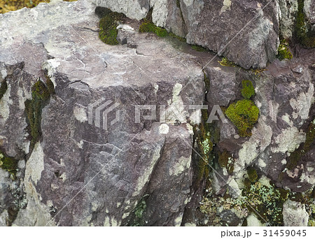 Beautiful stone with green moss in the park Beautiful stone with green moss in the park 31459045