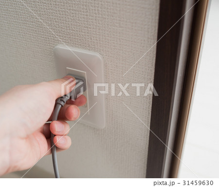 コンセント 31459630