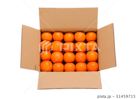ダンボール箱に入ったみかん 31459715