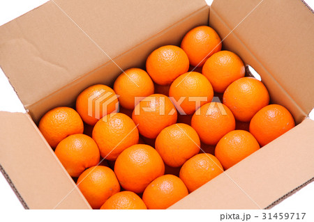 ダンボール箱にぎっしり詰まったオレンジ 31459717