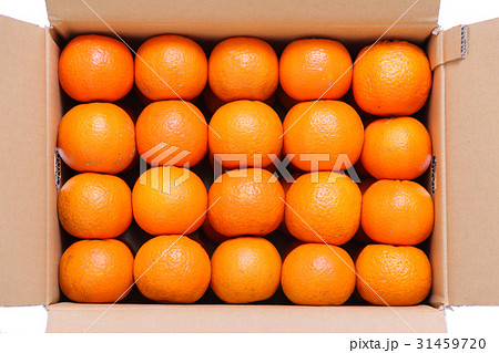 段ボール箱にぎっしり詰まった新鮮な蜜柑 段ボール箱にぎっしり詰まった新鮮な蜜柑 31459720