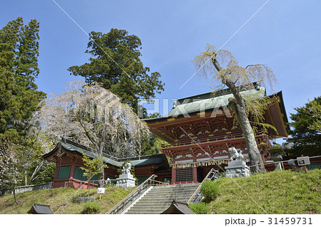 鹽竈神社の随身門 31459731
