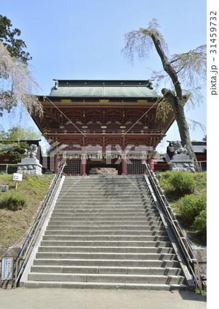 鹽竈神社の随身門 鹽竈神社の随身門 31459732
