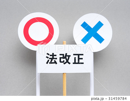 法改正　法律　賛成　反対　民意　立法 31459784