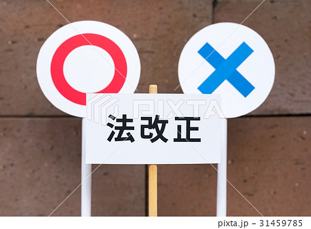 法改正 法律 賛成 反対 民意 立法 法改正 法律 賛成 反対 民意 立法 31459785