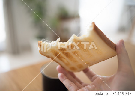 食パン 食パン 31459947