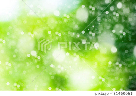 Sunny abstract green nature background. Sunny abstract green nature background. 31460061