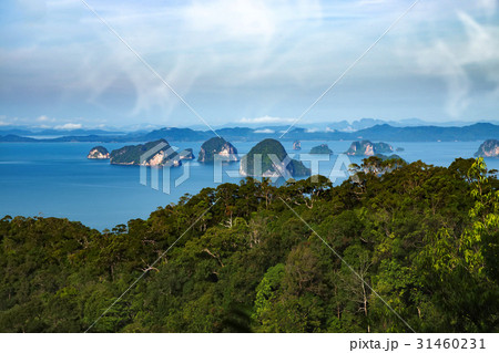 Green forest on the mountain with sea. Thailand. 31460231