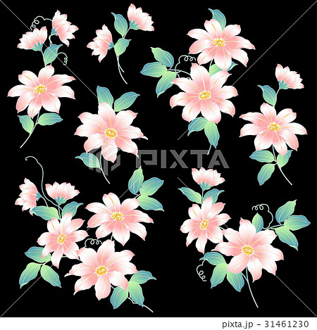 日本的な鉄線花のイラスト素材