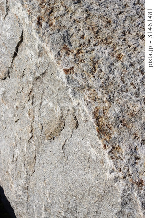 荒い岩肌 31461481