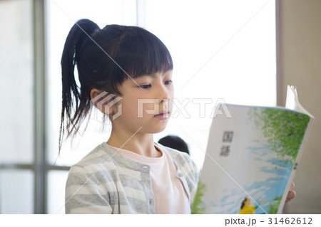 教室で勉強する小学生 教室で勉強する小学生 31462612
