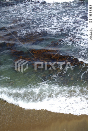 日本海冬24 日本海冬24 31463368