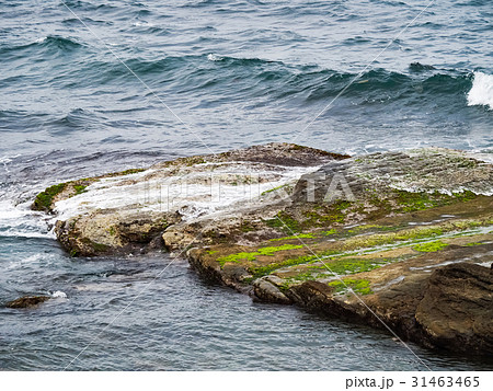 海沿い 沿岸 沖合 31463465