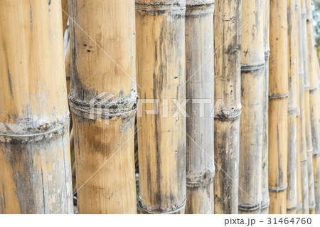 Close up bamboo fence background. 31464760
