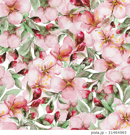 pattern of watercolor sakura flowers 31464965