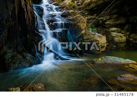 滝、渓流、沖縄。 31465178