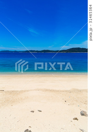 倉崎海岸 31465364