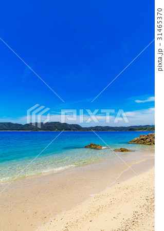 倉崎海岸 31465370