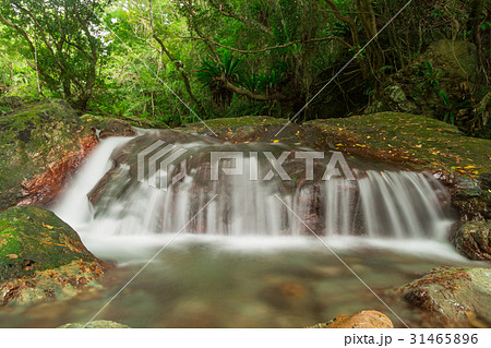 四級親水公園 31465896