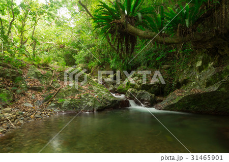 四級親水公園 31465901