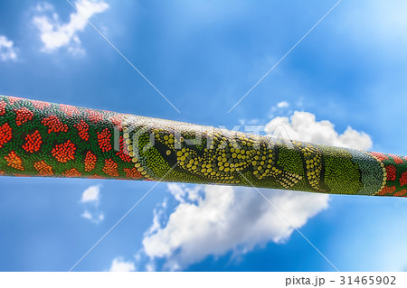 Didgeridoo - traditional aboriginal instrument  31465902